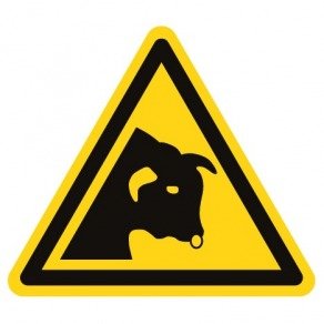 Pictogramme danger taureau ISO7010-W034