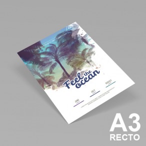 Affiches A3 recto